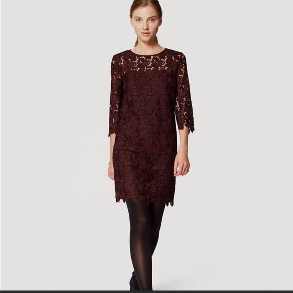 LOFT LACE DRESS